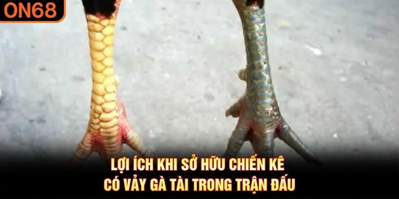Lợi &iacute;ch khi sở hữu chiến k&ecirc; c&oacute; vảy g&agrave; t&agrave;i trong trận đấu